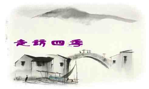 丹青水墨_副本_副本2.jpg