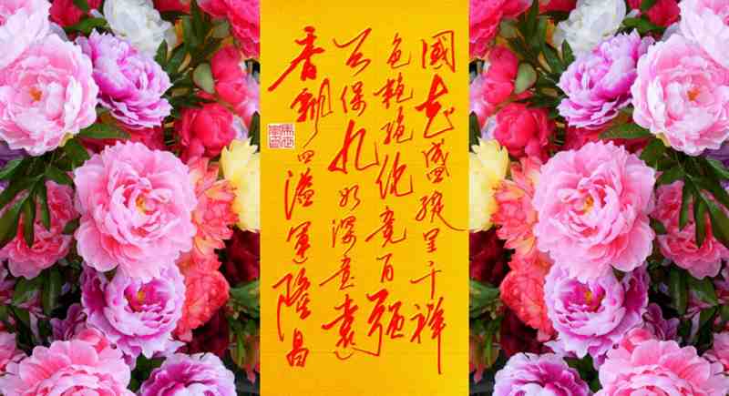 63722507 - 副本.jpg