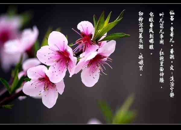 Cg-4WlFJwXmIHjo6AAGdUDfDe6MAAGVOQBxmGMAAZ1o005_副本.jpg