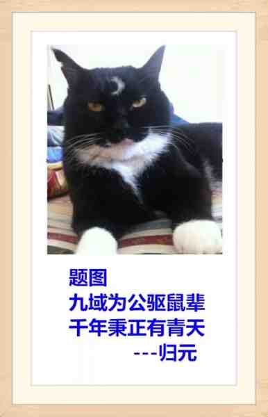 题猫图.jpg