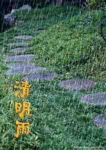 清明雨.jpg