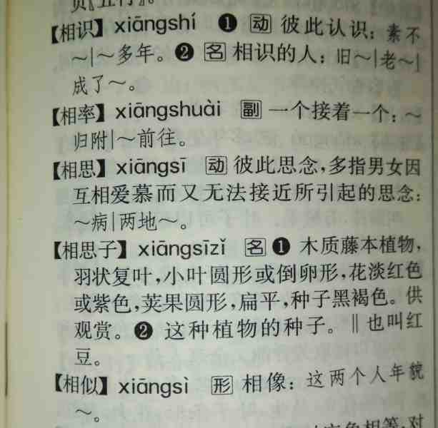 相思.jpg