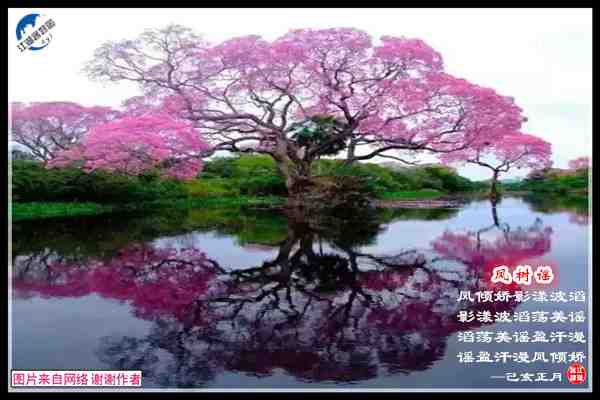 1488凤树谣.jpg