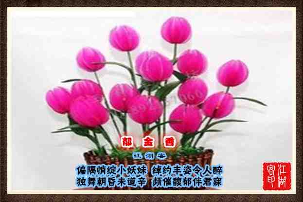 084郁金香.jpg