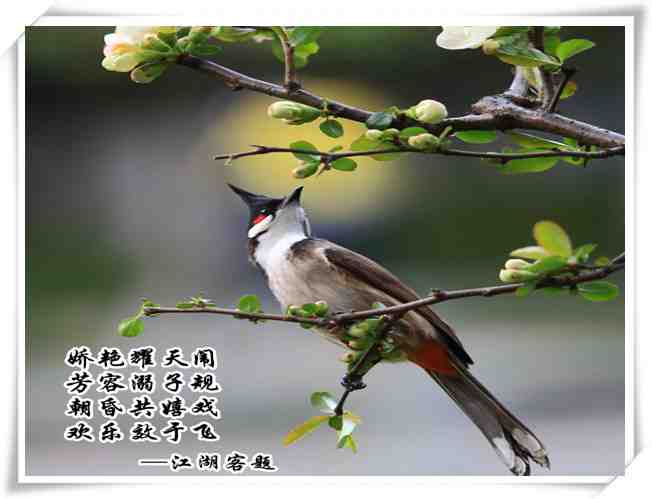122春姿.jpg