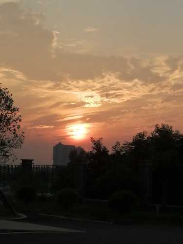 IMG_20190729_054009.jpg