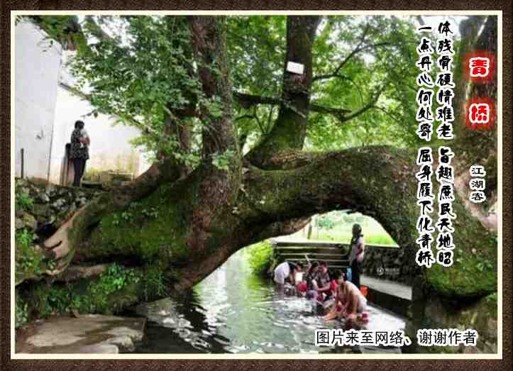 203青桥.jpg