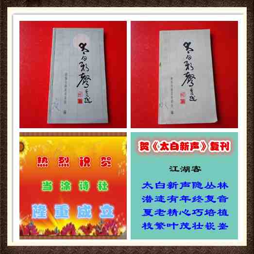 220贺复刊.jpg