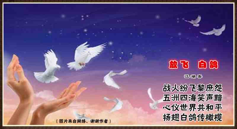 243放飞白鸽.jpg