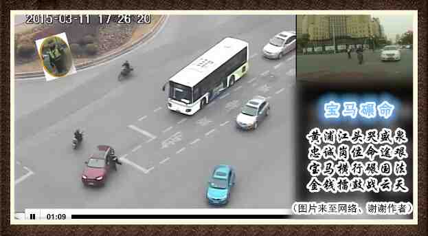 263宝马碾命.jpg