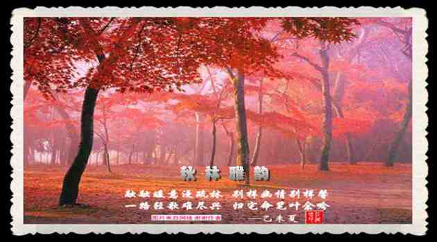 280秋林雅兴.jpg