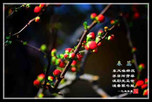 288春蕊.jpg