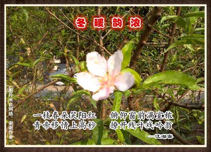 304冬暖春浓.jpg