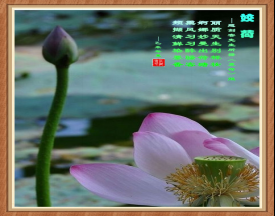 317姣荷.png