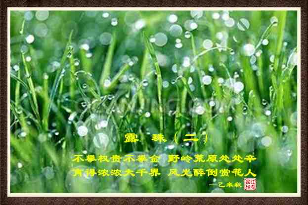 415露珠2.jpg