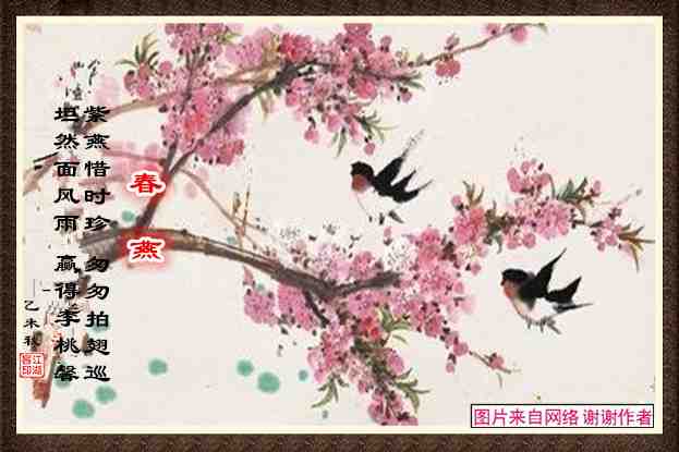419春燕.jpg