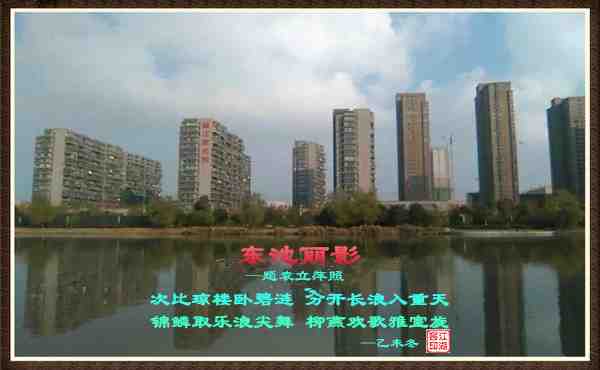 442东池丽影.jpg