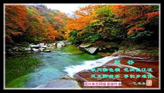 459秋谷.jpg