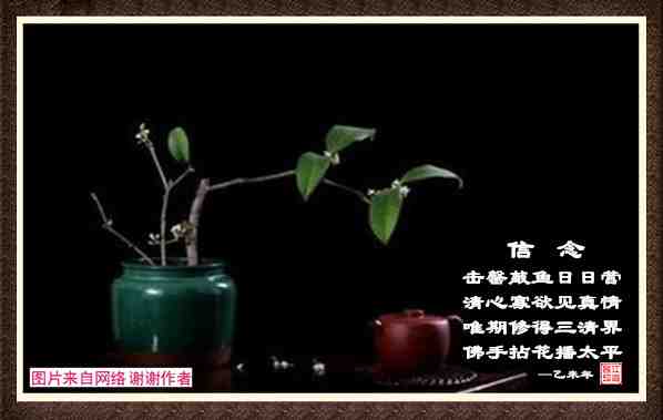 478信念.jpg