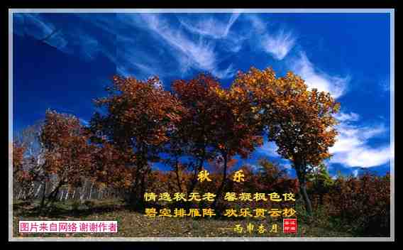 583秋乐.jpg