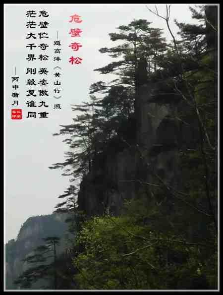 589高洋.jpg