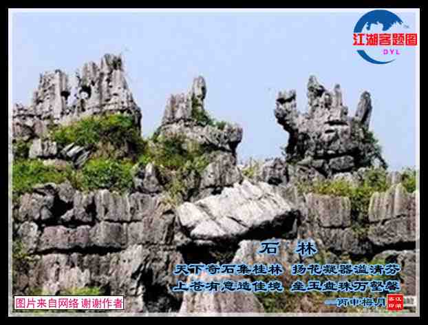 608吟石林.jpg