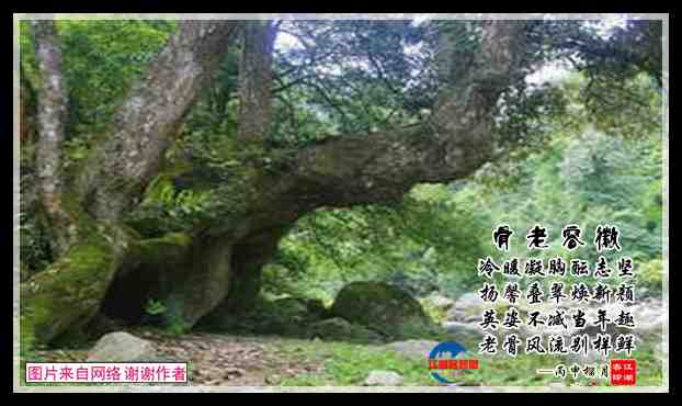 638骨老容徽.jpg