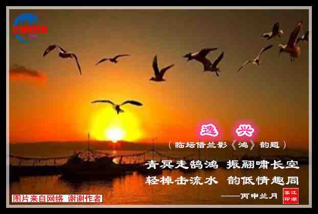 691逸兴.jpg