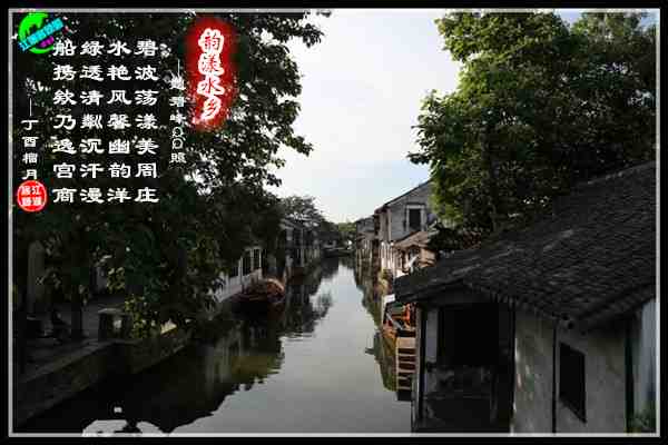 817杨碧峰.jpg