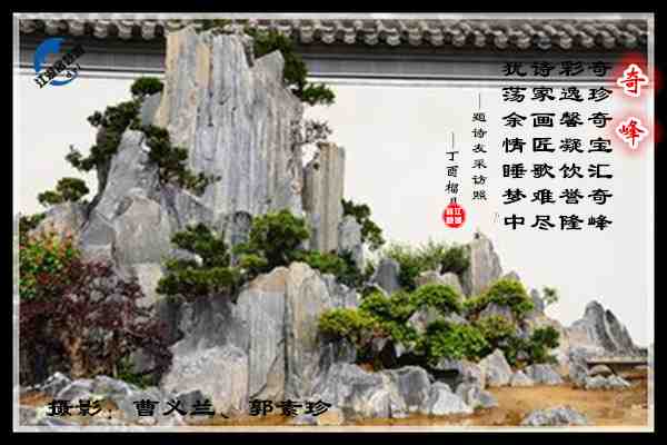 832奇趣逸奇峰.jpg