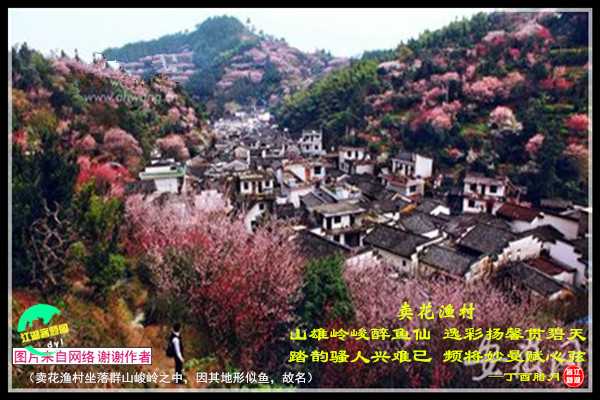 1116卖花渔村.jpg