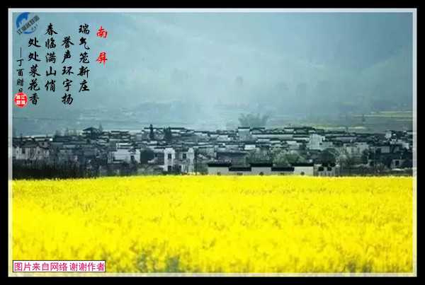 1117南屏.jpg