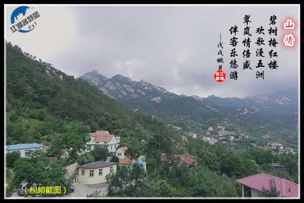 1165山情.jpg