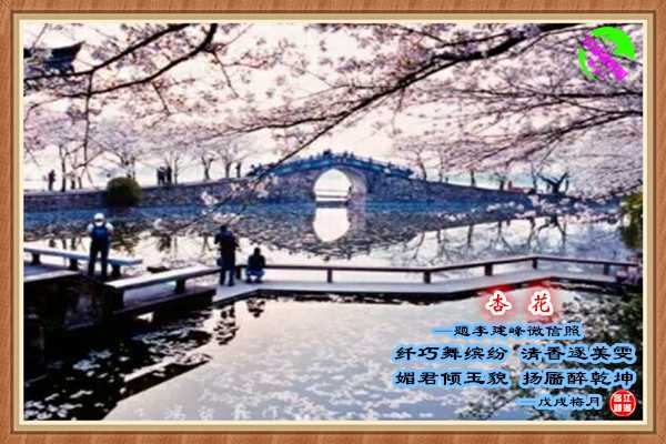 1179李建峰.jpg