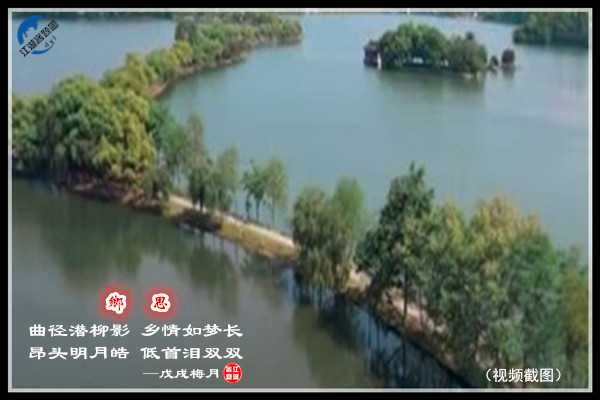 1188乡思.jpg