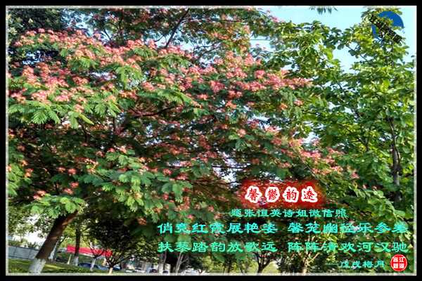 1192馨郁韵辽.jpg