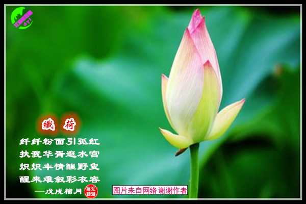 1210纤韵.jpg