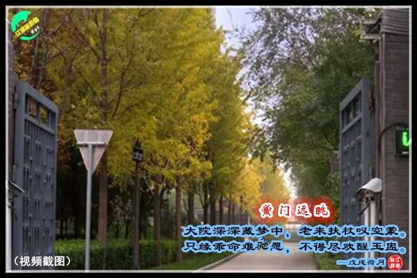 1232黉门远眺.jpg