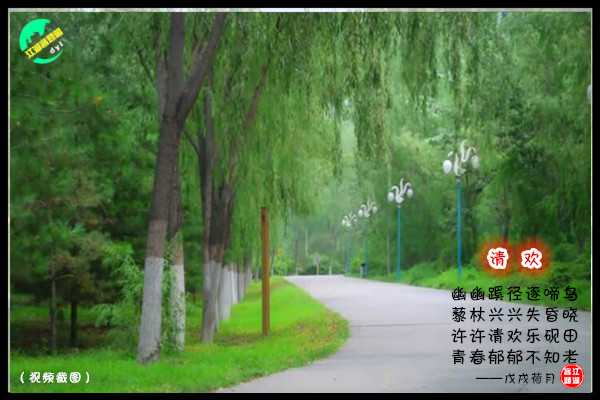 1231清欢.jpg