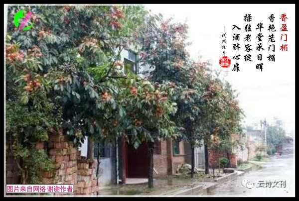 1274馨香盈门.jpg