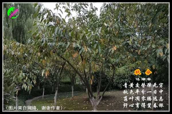 1273秋分.jpg