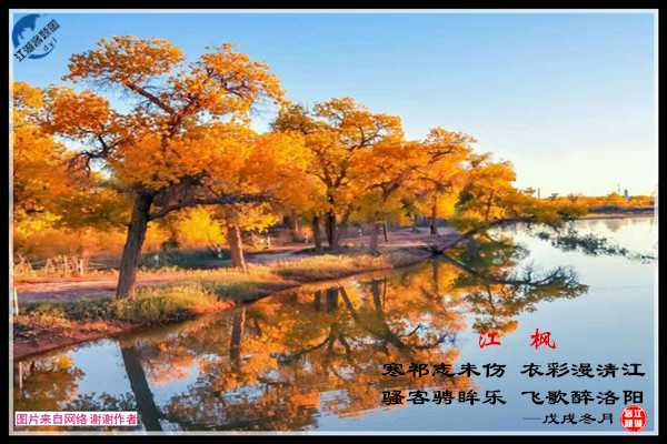 1328江枫.jpg