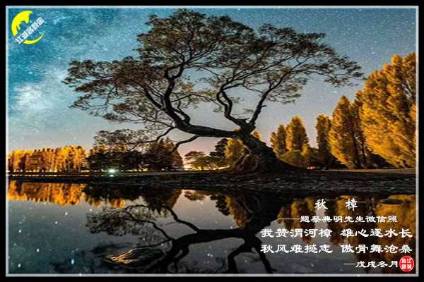 1329秋樟.jpg