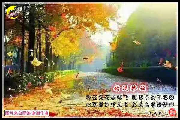 1330糁径.jpg