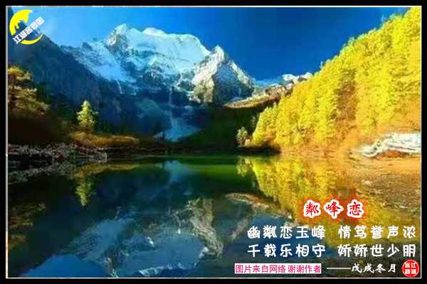 1331清泠.jpg