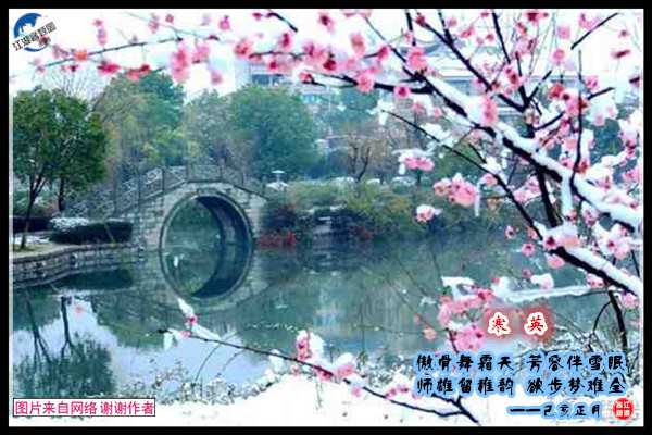 1354寒英.jpg