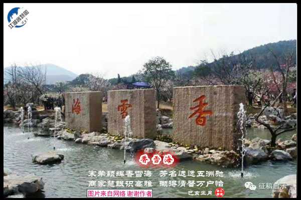 1357香雪海.jpg