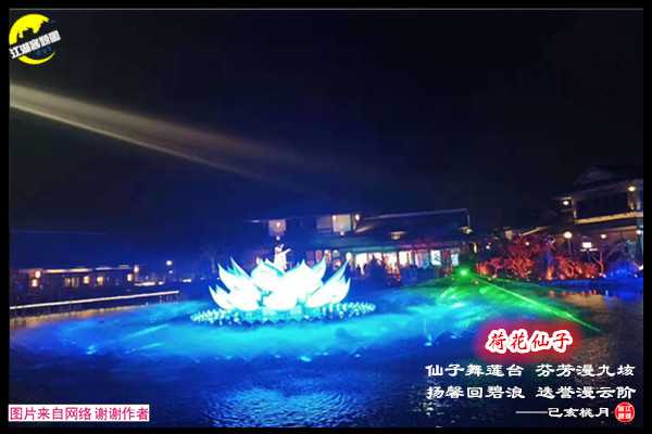 1396荷花仙子.jpg