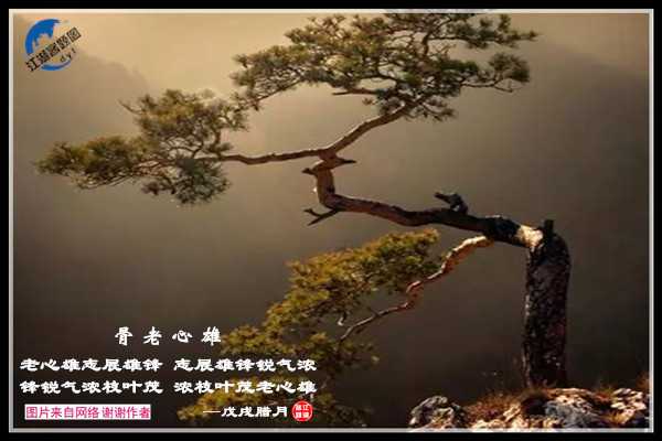 1401骨老心雄.jpg