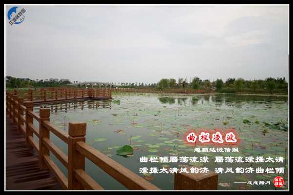 1406曲栏凌波.jpg